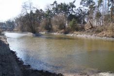 Revitalizace rybníka v Kersku